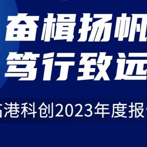 奋楫扬帆，笃行致远——临港科创2023年度报告
